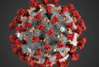 研究：新冠病毒入侵人体的“入口”找到了！