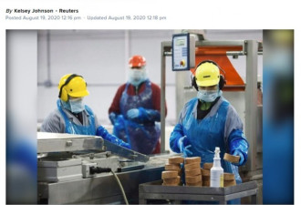 工人确诊感染：加拿大猪肉暂停出口中国