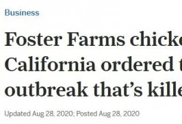 美国疫情605万！加州鸡厂8死350人感染