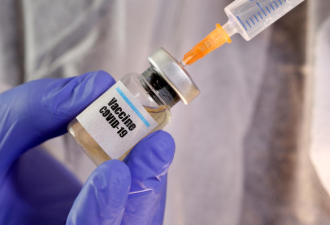 美国疫苗研发遭遇瓶颈：试验猴子不够了