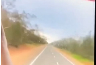 “疯狂，愚蠢”！澳“无人驾驶”卡车惊呆网友