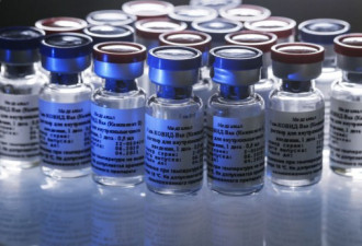 白俄将成为首个接受俄罗斯新冠疫苗的国家