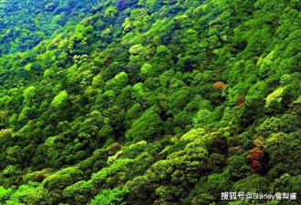 中国“最绿”的省：森林覆盖率高达66.8%