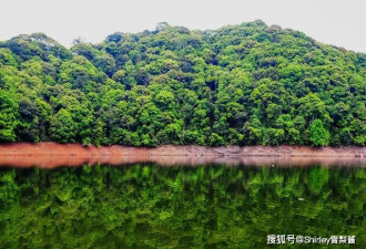 中国“最绿”的省：森林覆盖率高达66.8%