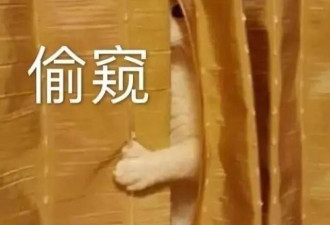 【爆笑】“Angelababy哭戏吹上热搜...”