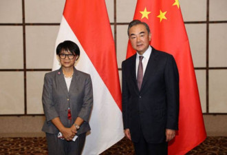 中国外交重启 王岐山仍难露面原因曝光