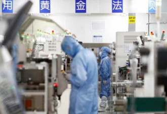 中国力挺国产晶片 优先程度如当年制造原子弹