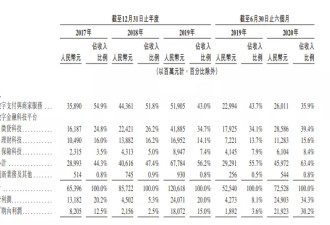 500字极简版蚂蚁招股书