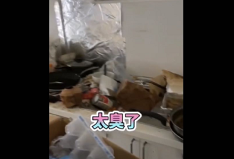 留学生留下满屋垃圾！房东：再也不租给华人！