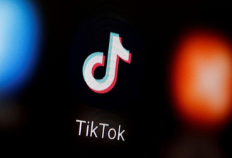 TikTok称准备好挑战特朗普禁令，本周正式起诉