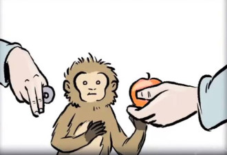 耶鲁大学实验：猴子富起来去嫖娼了