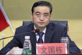 晋升仅2个月的青海省副省长，主动投案 ....