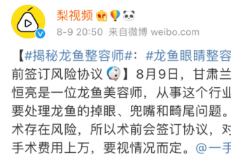 有钱人的最新迷惑游戏 玩一次花掉一套房