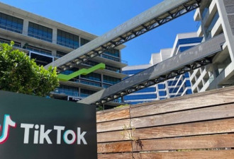 TikTok被曝最早将于下周一起诉美国政府