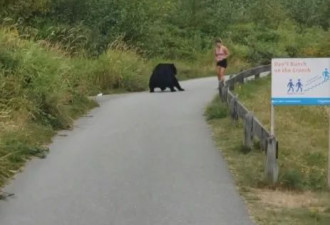 黑熊公园出现：拍摸女性晨练跑步者大腿