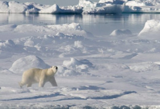 联合国气象组织警告地球冰层在加快消失