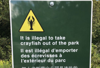 多伦多抓小龙虾被罚$480：公园立有中文告示牌