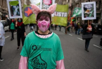 中国在阿根廷大规模养猪引来抗议