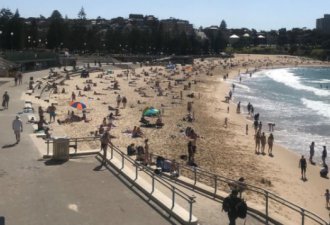 气温升高，悉尼海滩有现“人从众”