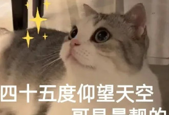 初代性感小三同框，一张脆弱悲情脸