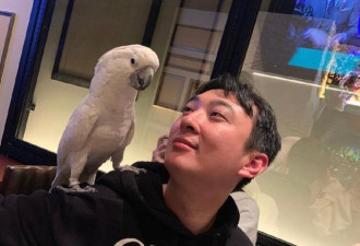 王思聪带新欢逛太古里，女方主动挽手