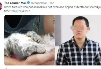 悉尼华人学生虐猫致死，躲过牢狱之灾！