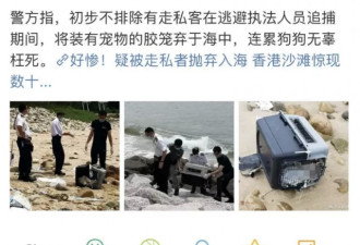香港&quot;灰色运输&quot;曝光 数十只宠物被&quot;海葬&quot;