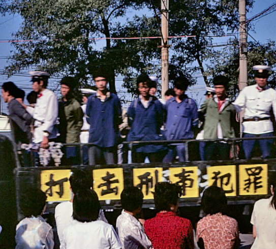 憲法の正論 | 西修 |本 | 通販 | Amazon