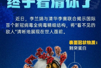 新冠病毒具体长啥样？中国科学家全球首揭秘