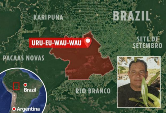 宿命？巴西土著人权专家死于原住民箭下