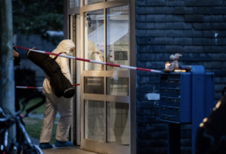 德国一位母亲杀害五个亲生孩子后跳轨自杀