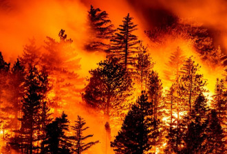 美西山火肆虐 州长：眼泪是仅剩的湿气