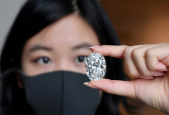 加拿大102克拉大钻石香港拍卖起价1港元