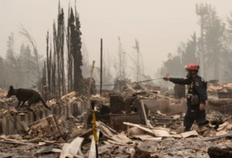 美国林火35人亡，BC呼吁人们减少外出