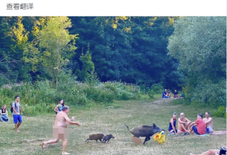 她在德国 拍下一男子裸奔追猪全过程