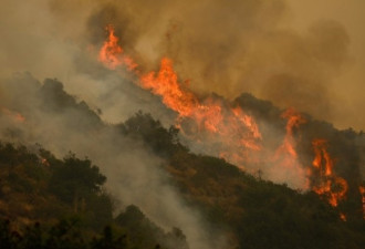 加州大火面积烧掉“一个州” 全美10州陷火场
