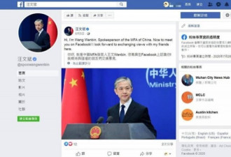 有蓝勾勾！中国外交部发言人汪文斌脸书曝光