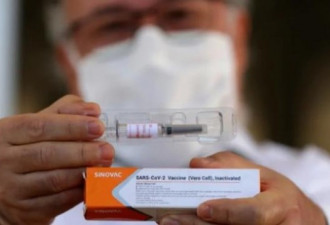 中国研发疫苗第三阶段试验理想 最快12月面世