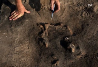 八千年前墓穴出土陪葬狗 骨骸保存超完整