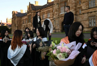 少了中国留学生，澳大利亚损失了多少？