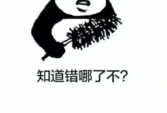 95后大学生情侣拍“黄色视频”获利53万