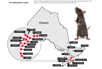 安省“鼠灾”地图：多伦多居首，华人区惨上榜