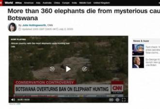 数百头非洲象离奇死亡 如今终于“破案”
