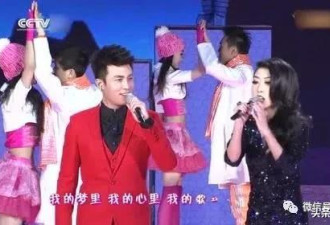 曲婉婷，一个被人血馒头滋养大的中国女歌手