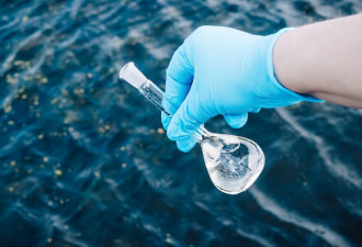 美在湖中发现新冠痕迹 科学家:或是游泳者污染