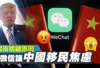 美国的微信禁令让中国移民忧心如焚