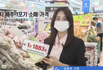 韩国大白菜涨至62元1颗 韩媒：简直就是吃钻石