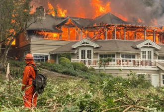 加州米其林被烧!百年葡萄园毁于一旦