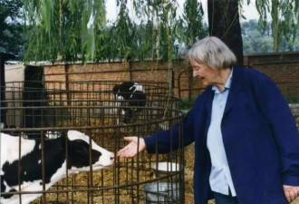 杨振宁师姐从美国跑到中国，放了一辈子牛