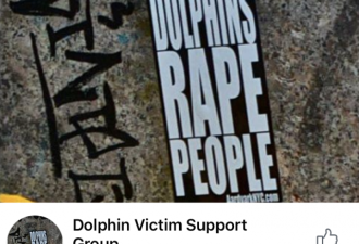 加入海豚强奸受害者协会 我再也不信人类有朋友
